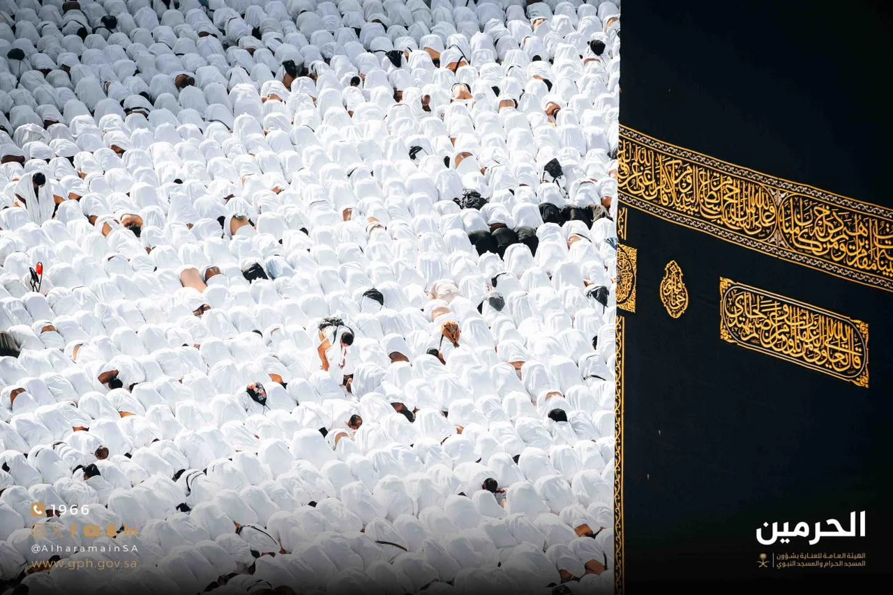 WhatsApp Image 2026 01 26 at 12.31.23 PM