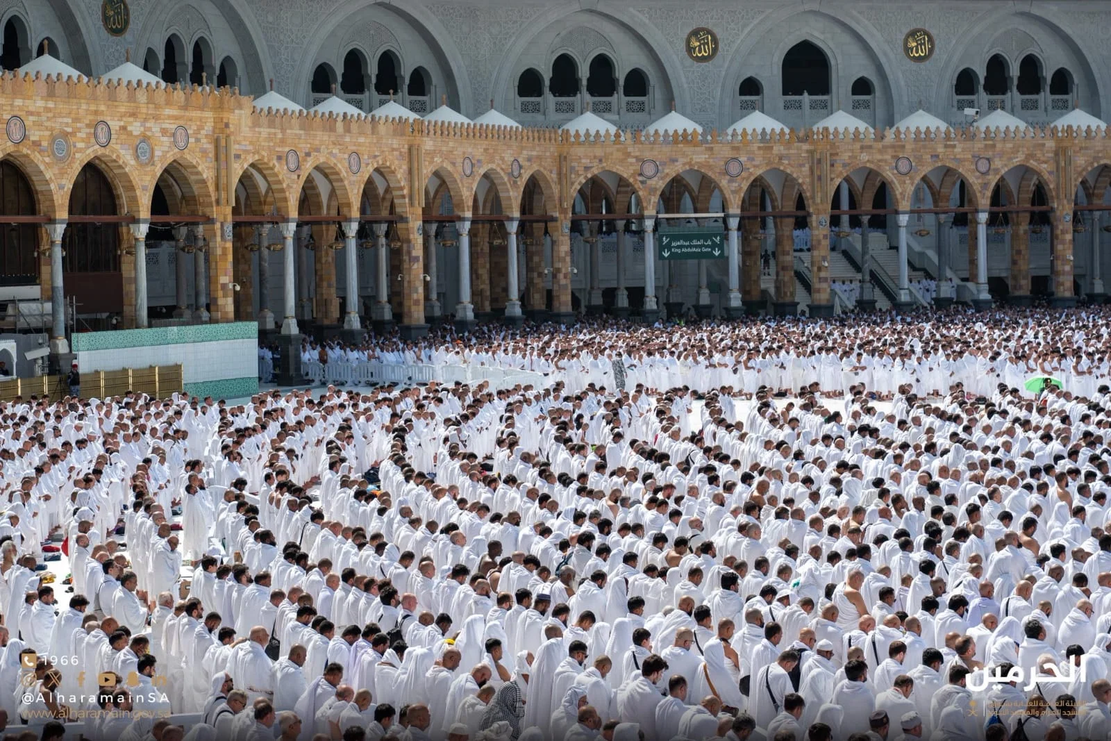 WhatsApp Image 2026 01 30 at 5.17.41 PM 1