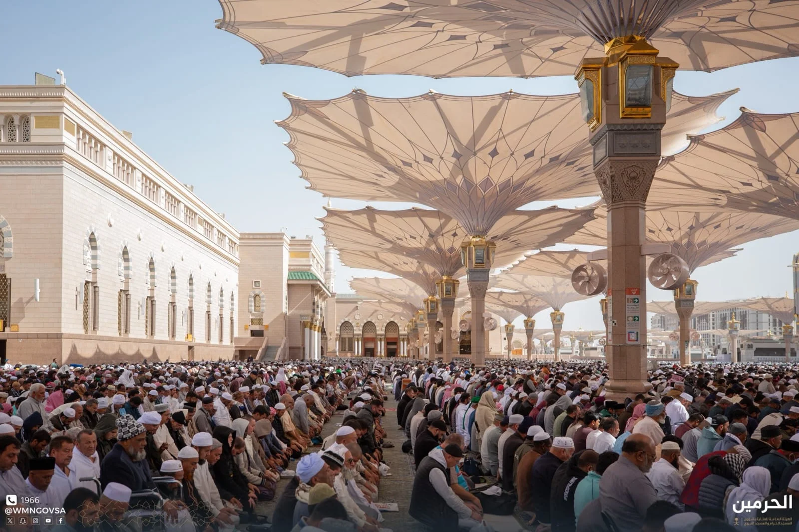 WhatsApp Image 2026 01 30 at 5.17.42 PM 3