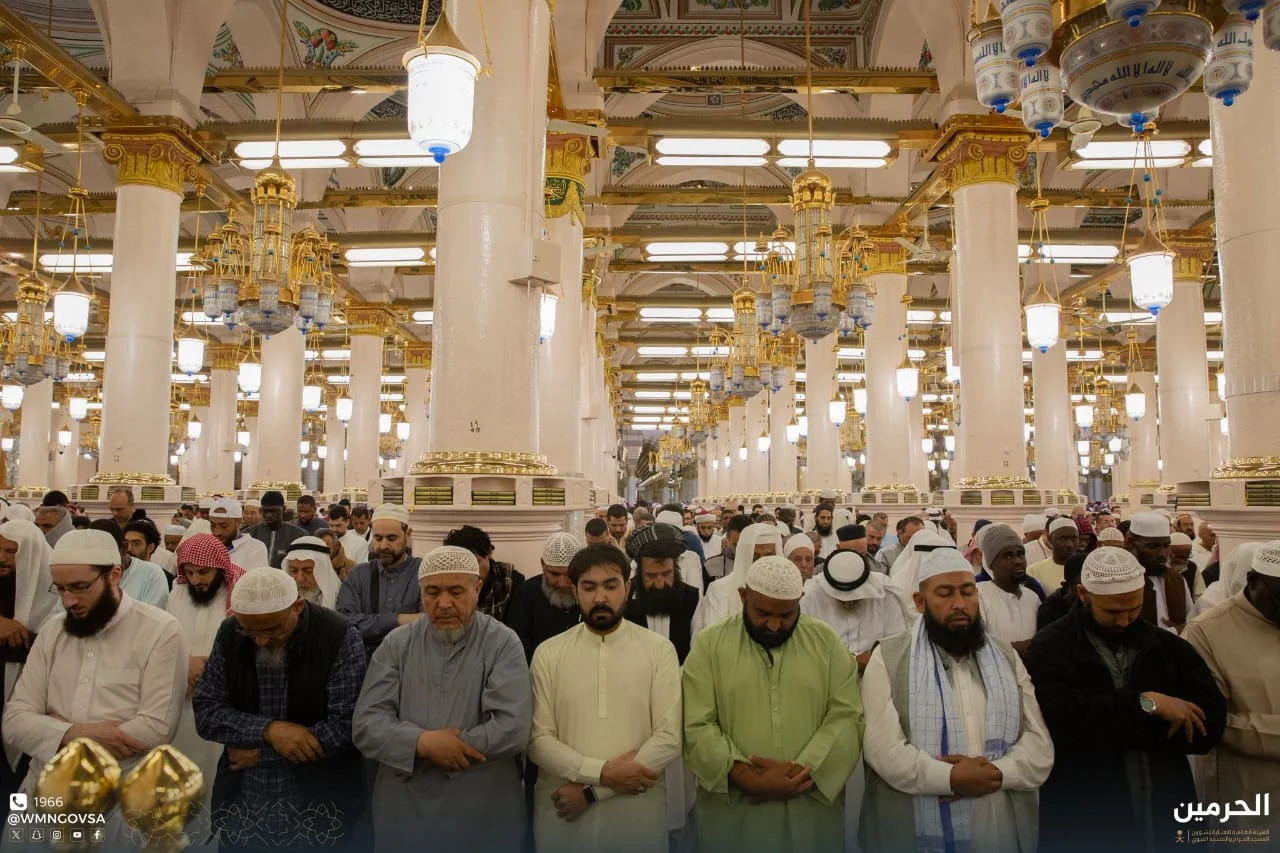 WhatsApp Image 2026 02 12 at 9.44.15 AM