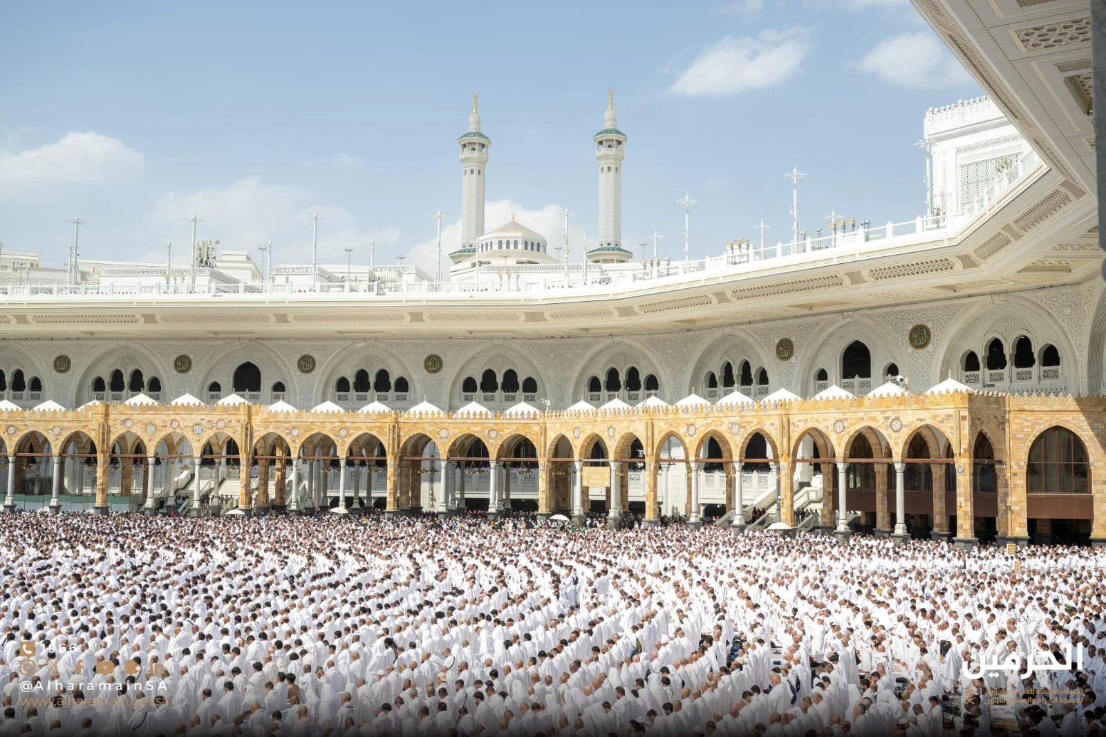 WhatsApp Image 2026 02 12 at 9.44.17 AM