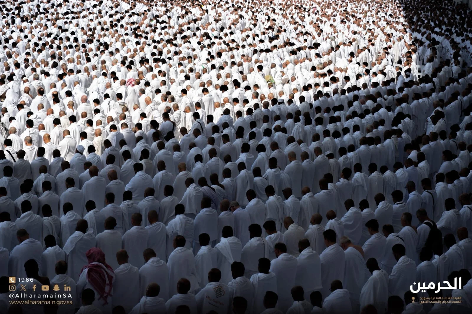 WhatsApp Image 2026 02 15 at 8.08.55 PM