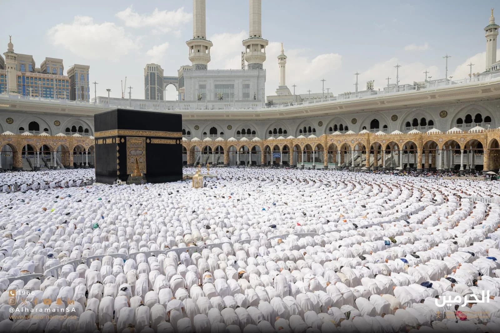 WhatsApp Image 2026 02 15 at 8.08.56 PM