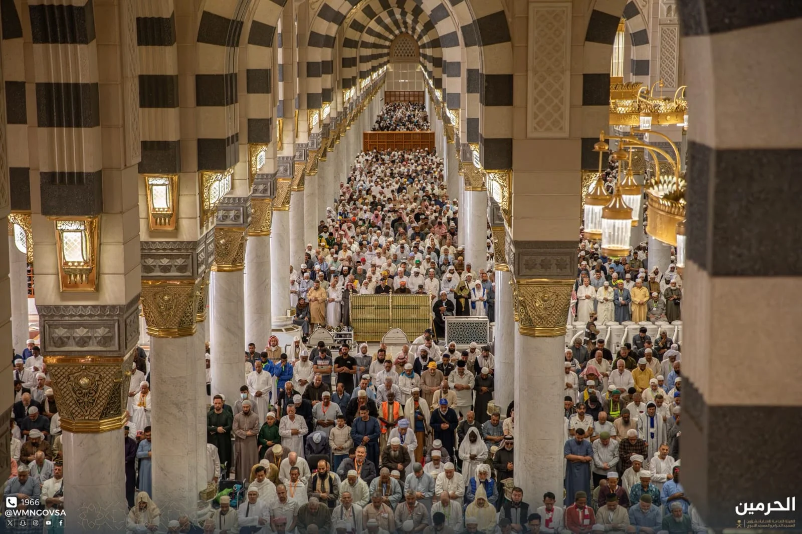 WhatsApp Image 2026 02 20 at 4.39.36 PM