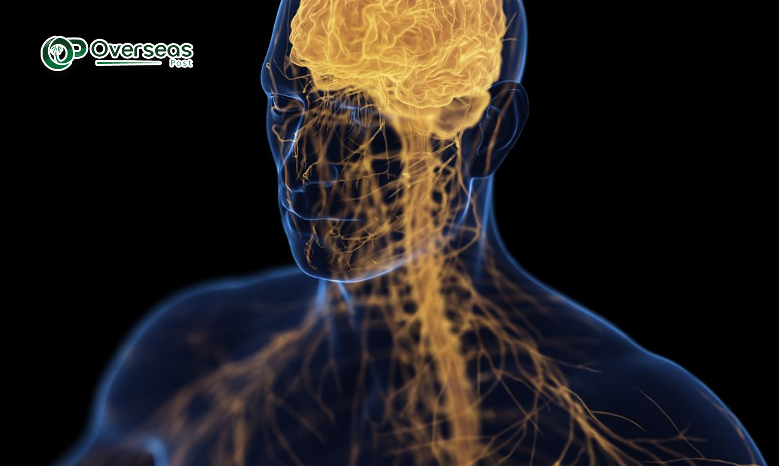 depression and bones 3