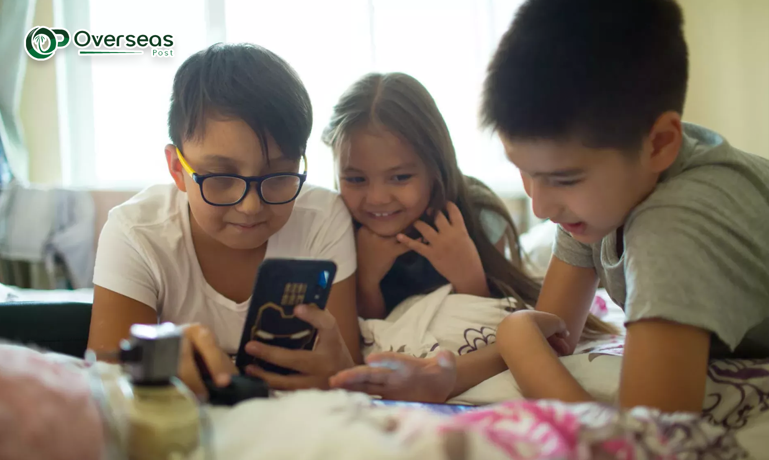 egypt digital regulations 4