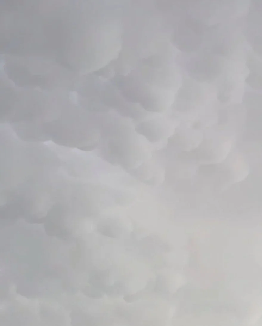 54564456