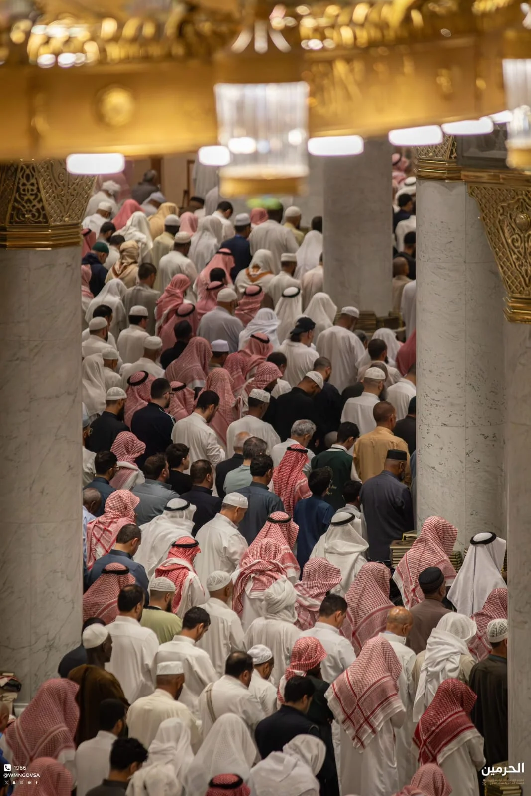 WhatsApp Image 2026 03 16 at 5.06.04 PM