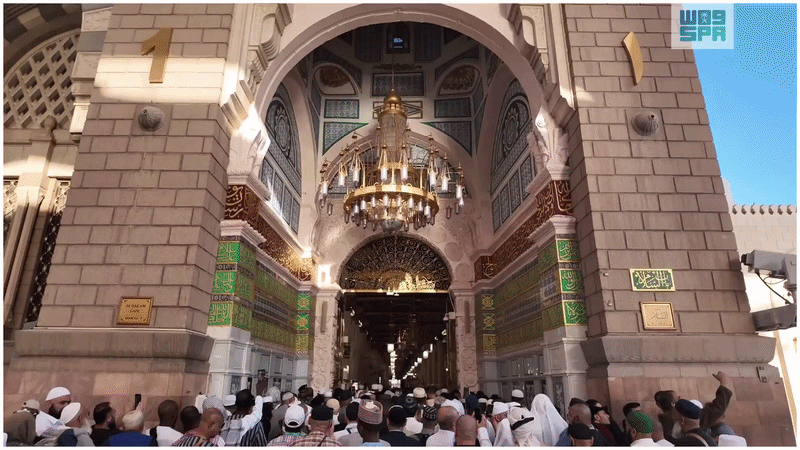 ezgif.com video to gif converter 11