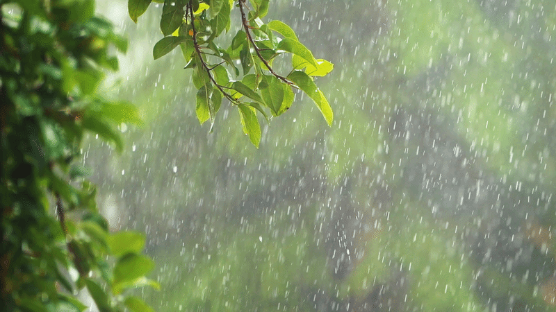 ezgif.com video to gif converter 15