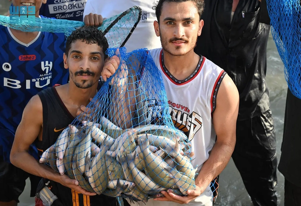 fish season farsan island 2