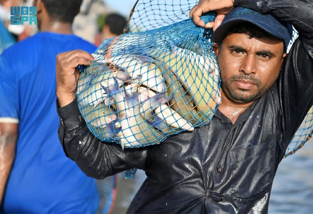 fish season farsan island 3