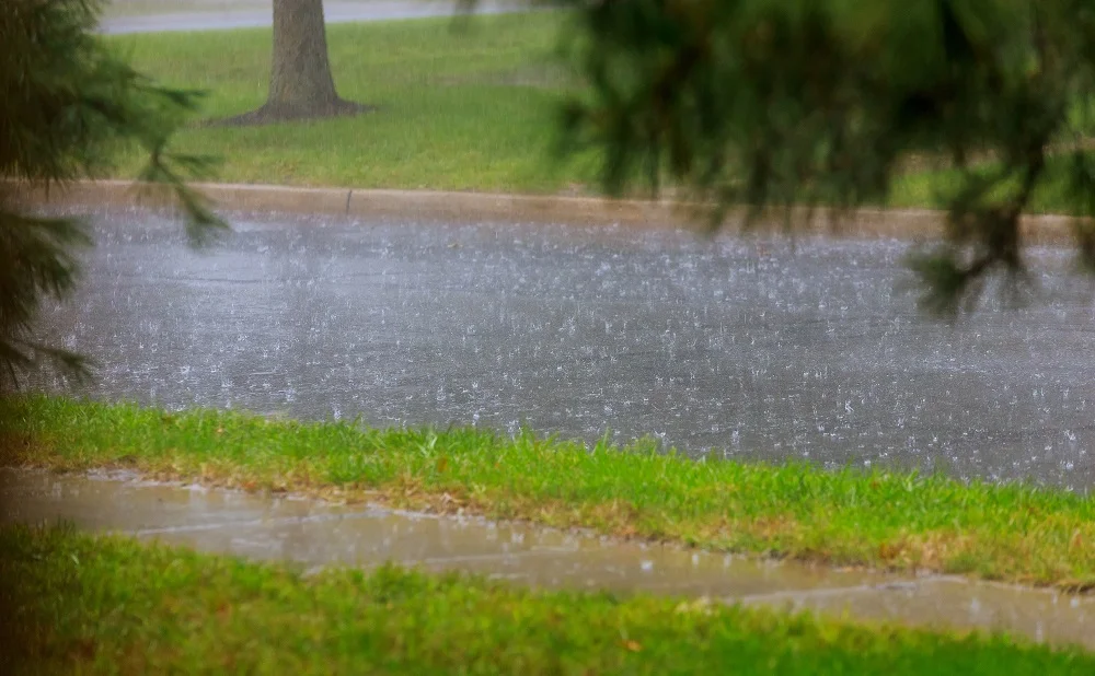 road during heavy rain raindrops on water puddles 2026 01 09 09 56 20 utc