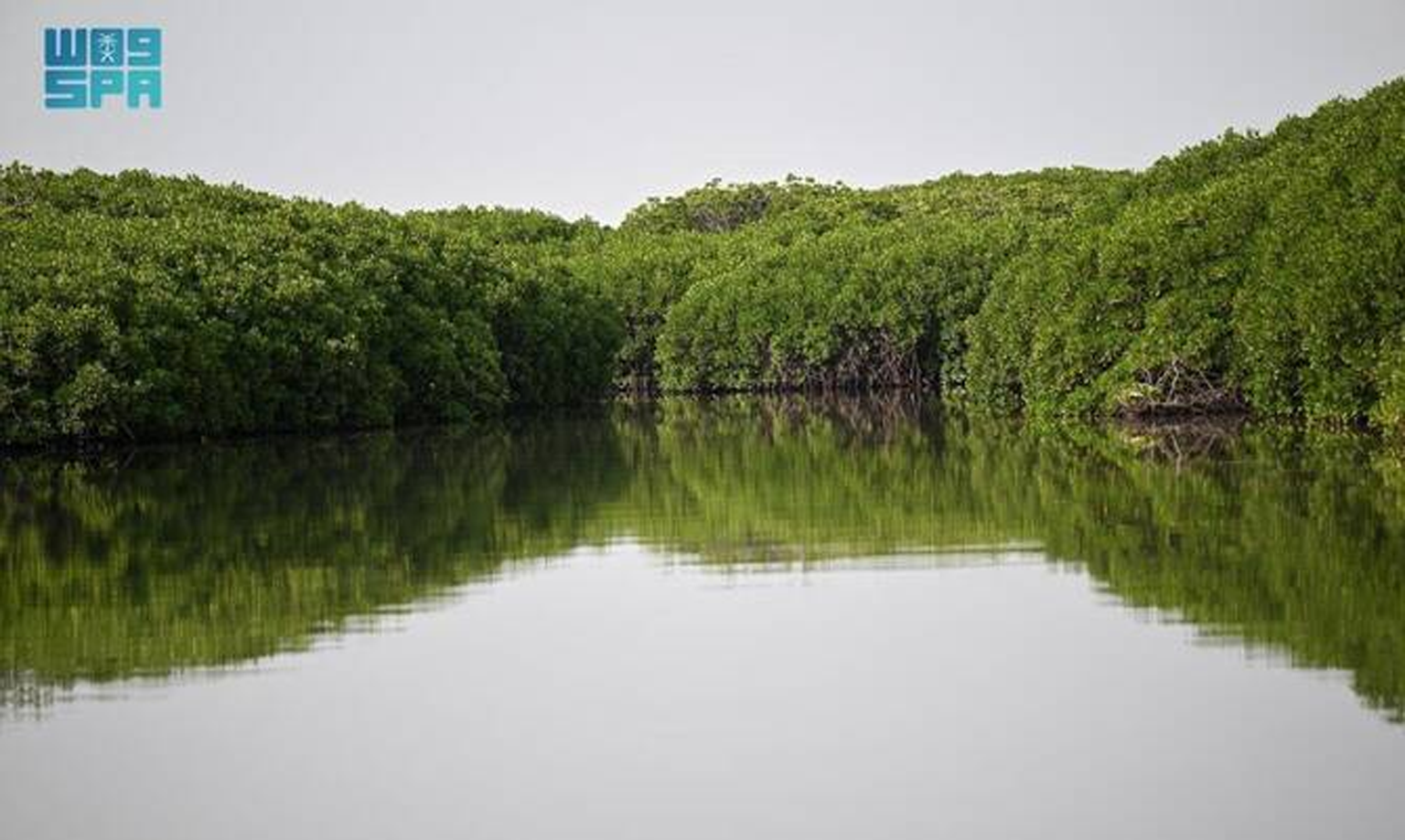 saudi jazair e farsan 7