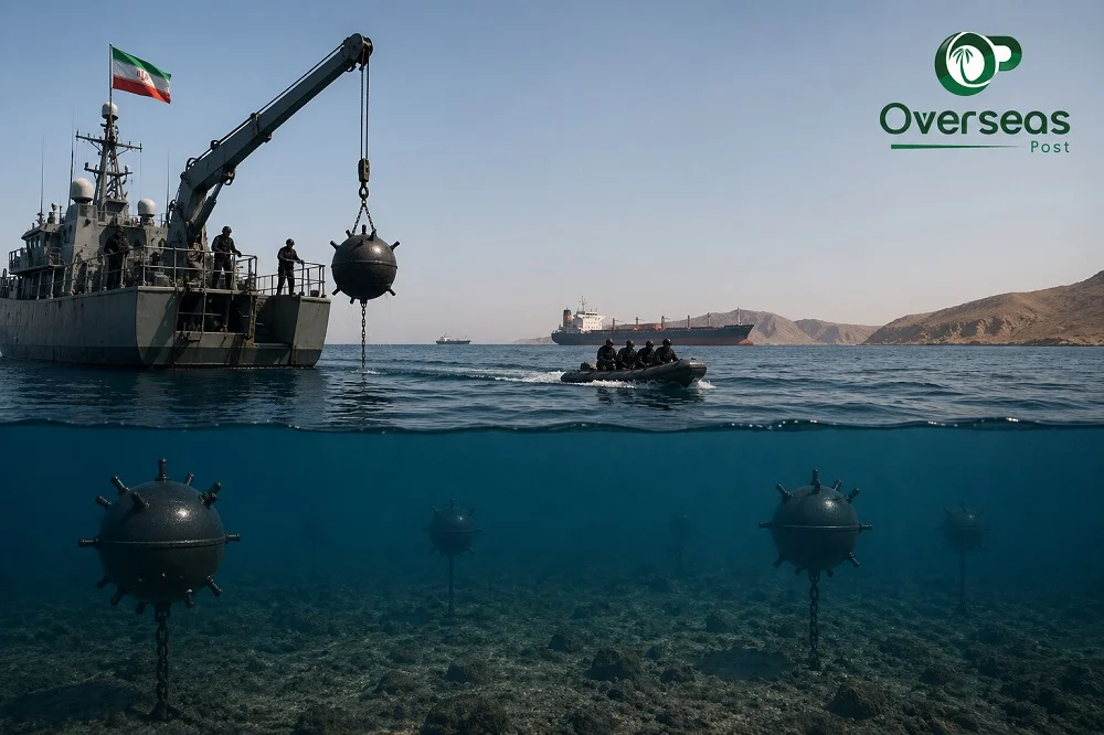ChatGPT Image 26 أبريل 2026، 08 00 57 م