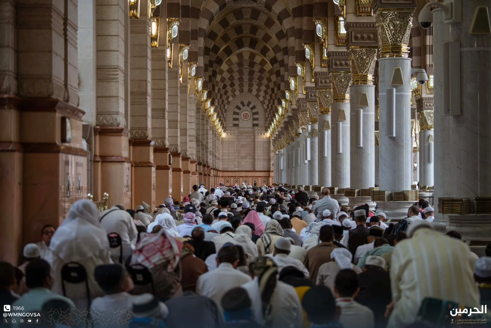 WhatsApp Image 2026 04 03 at 2.24.07 PM 2 1