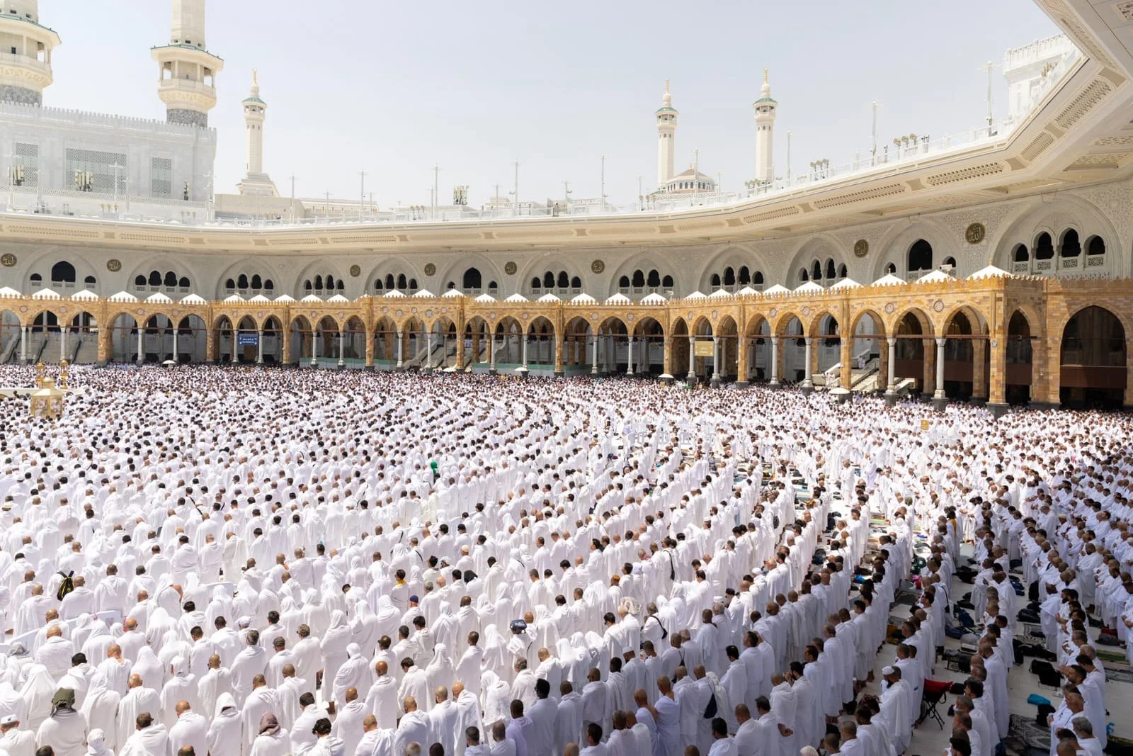 WhatsApp Image 2026 04 03 at 2.24.07 PM 5