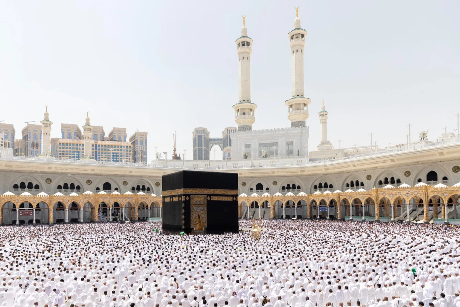 WhatsApp Image 2026 04 03 at 2.24.07 PM 7