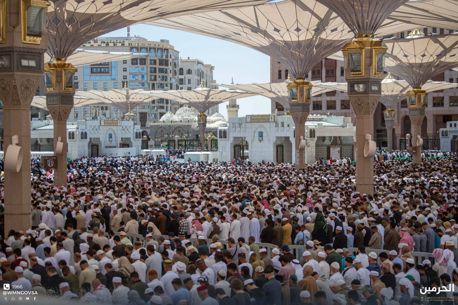 WhatsApp Image 2026 04 10 at 2.03.47 PM 1