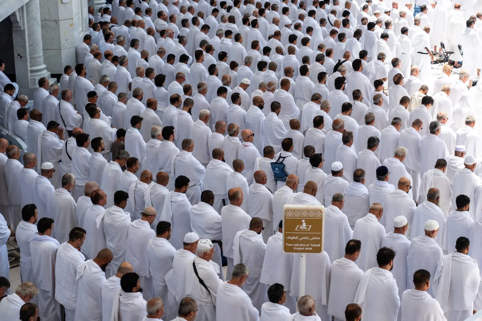 WhatsApp Image 2026 04 10 at 2.03.48 PM 1