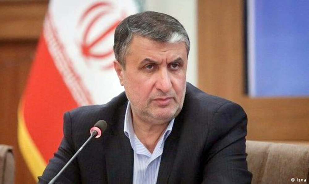 head of the Atomic Energy Organization of Iran muhammad islami