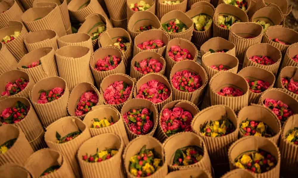 iran war and global economy supply chain 5