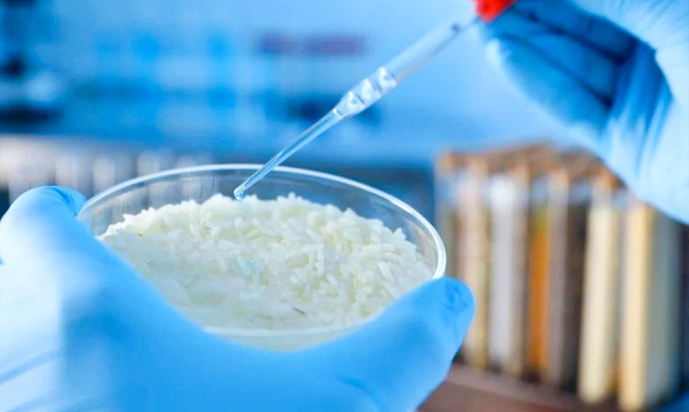 چاول روبوٹکس ٹیکنالوجی اور اسمارٹ میٹریل تحقیق نتائج