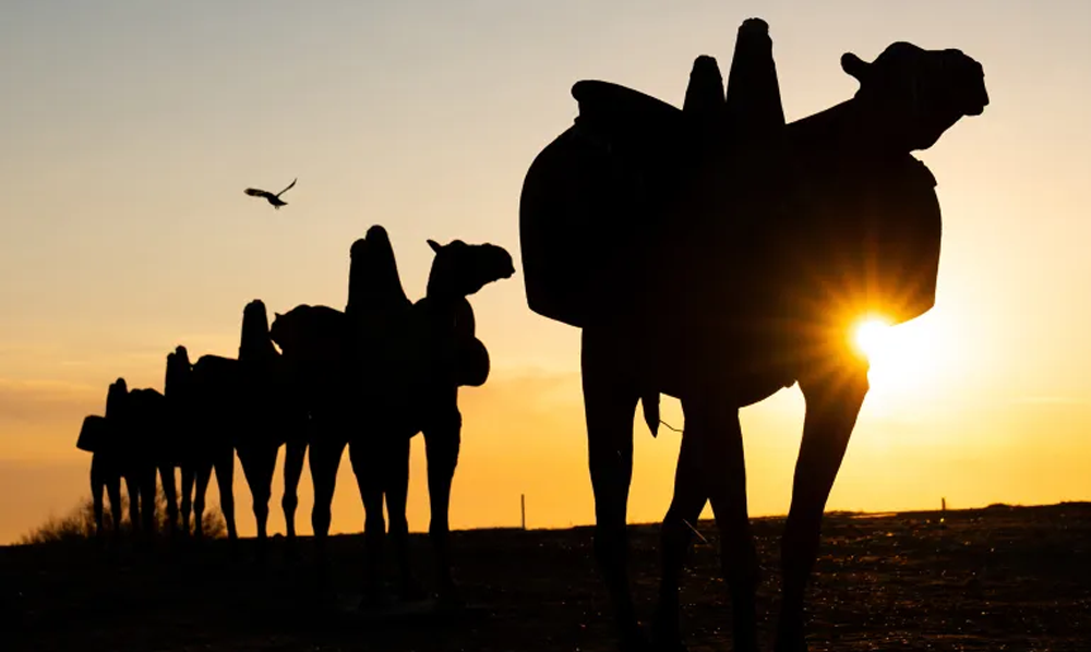 شاہراہ ریشم تاریخ اور اسلامی تہذیب و تجارت کا سفر