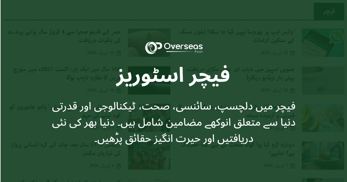 فیچر اسٹوریز – دلچسپ، سائنسی اور انوکھے مضامین