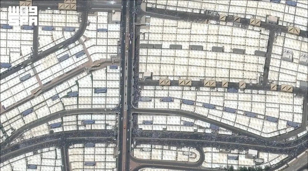 56464654
