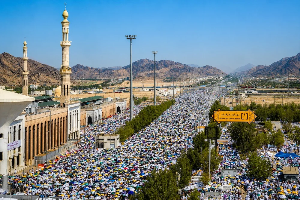 ChatGPT Image 25 مايو 2026، 10 50 22 م