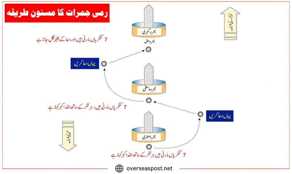 ChatGPT Image 27 مايو 2026، 08 34 13 م