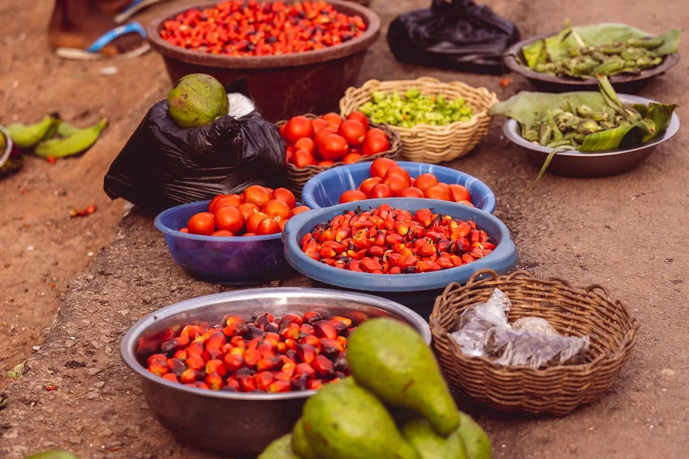 bright assortment of fruits and vegetables on grou 2026 01 07 07 15 48 utc