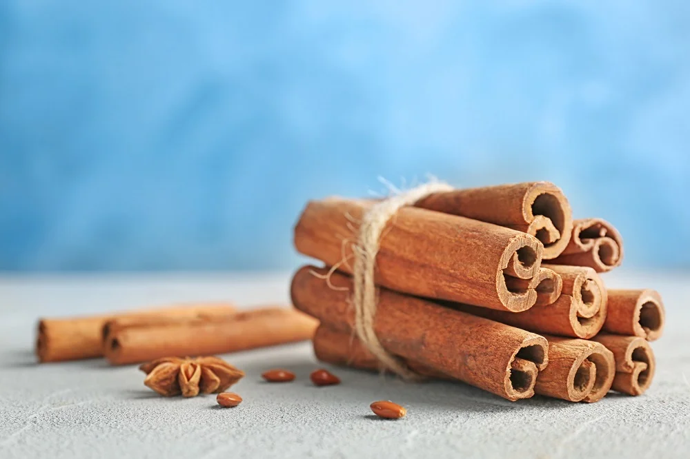 cinnamon sticks tied with twine with anise star 2026 03 27 01 22 56 utc