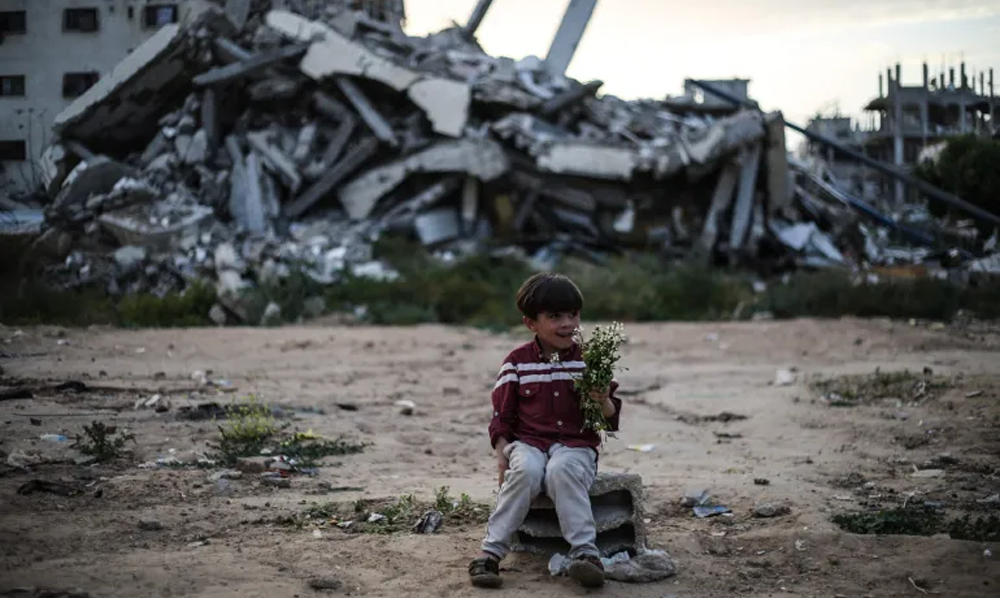 gaza destruction 7