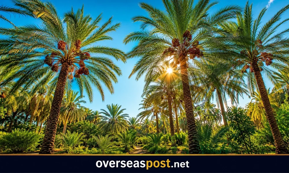 ChatGPT Image 10 يوليو 2026، 12 56 31 م